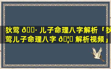 狄莺 🌷 儿子命理八字解析「狄莺儿子命理八字 🦄 解析视频」